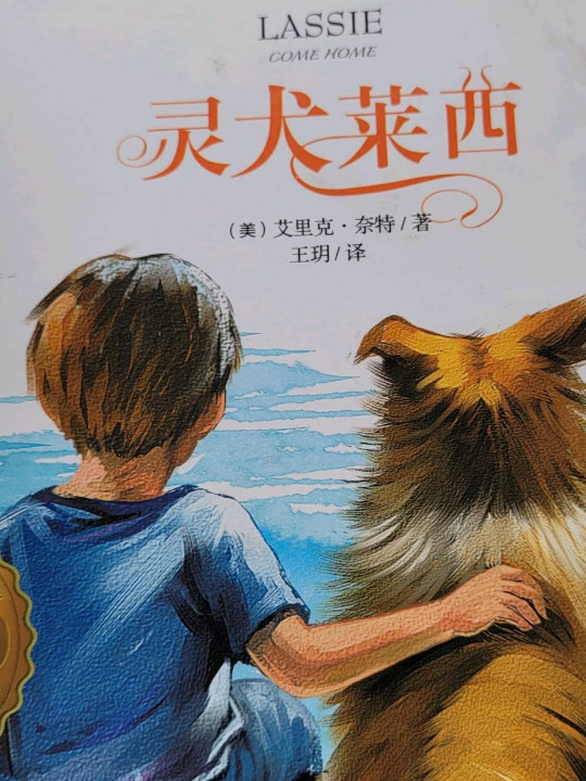 灵犬莱西