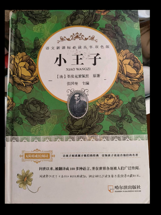 小王子/语文新课标必读丛书.双色版