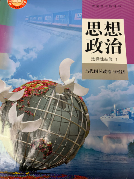 普通高中教科书 思想政治 选择性必修1 当代国际政治与经济