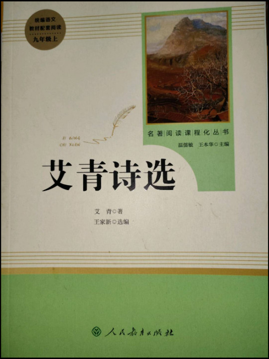 艾青诗选 九年级上 人教版名著阅读课程化丛书 教育部统编教材推荐必读书目 人民教育出版社