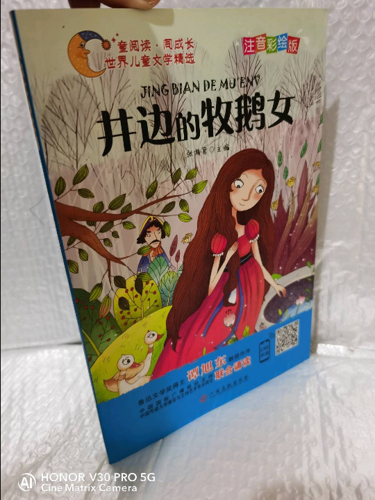 世界儿童文学精选：井边的牧鹅女