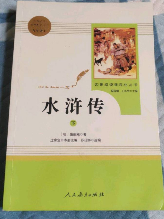 水浒传  人教版九年级上 教育部编语文教材指定推荐必读书目 人民教育 名著阅读课程化丛书