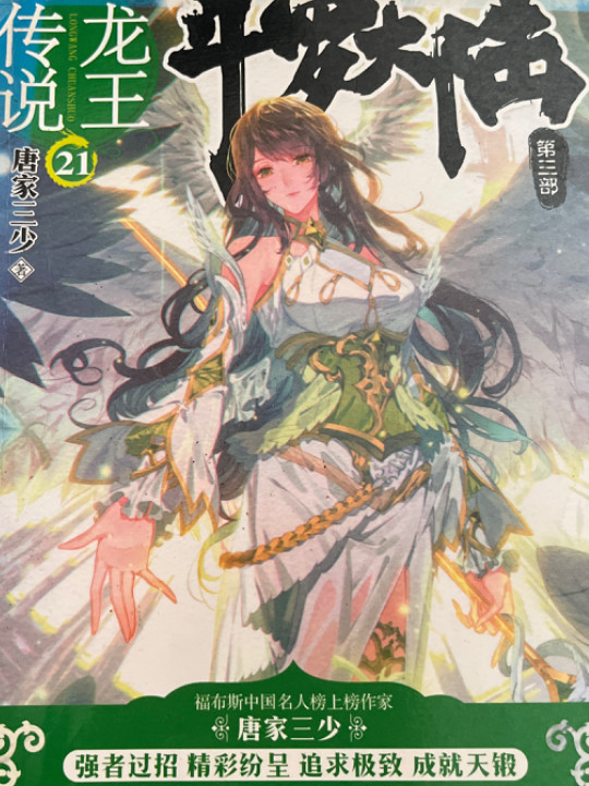 斗罗大陆3龙王传说21 唐家三少