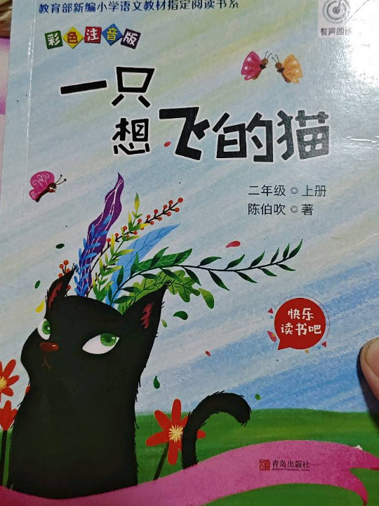 一只想飞的猫