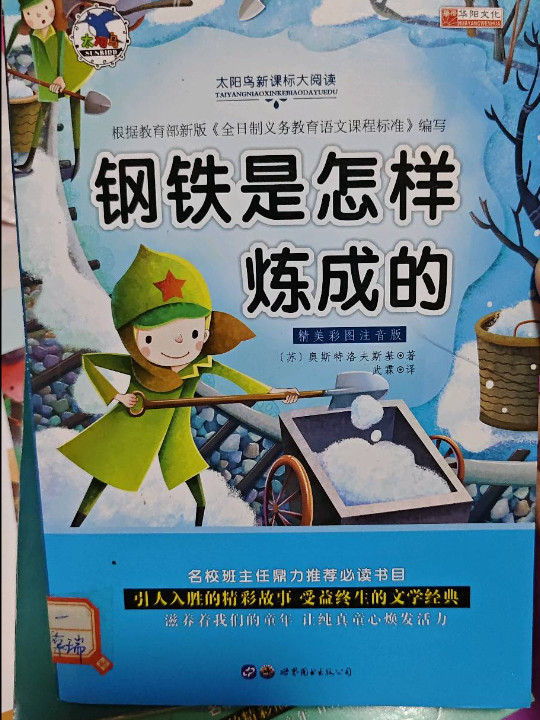 钢铁是怎样炼成的/青少年必读丛书