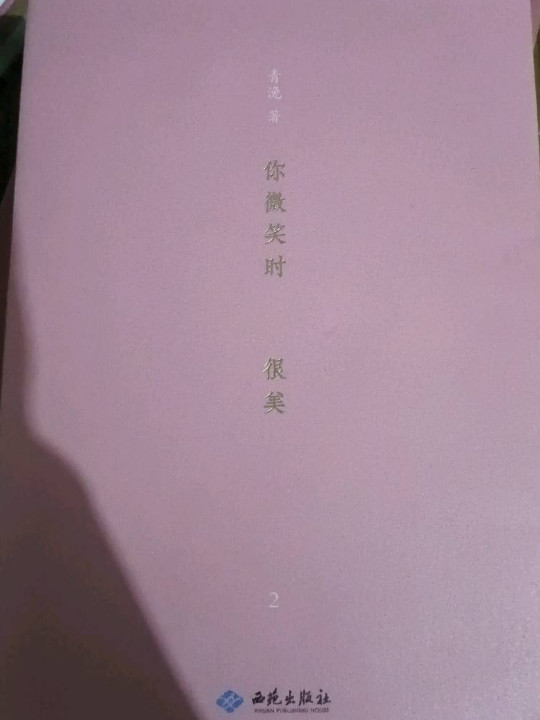你微笑时很美2