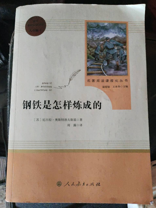 钢铁是怎样炼成的