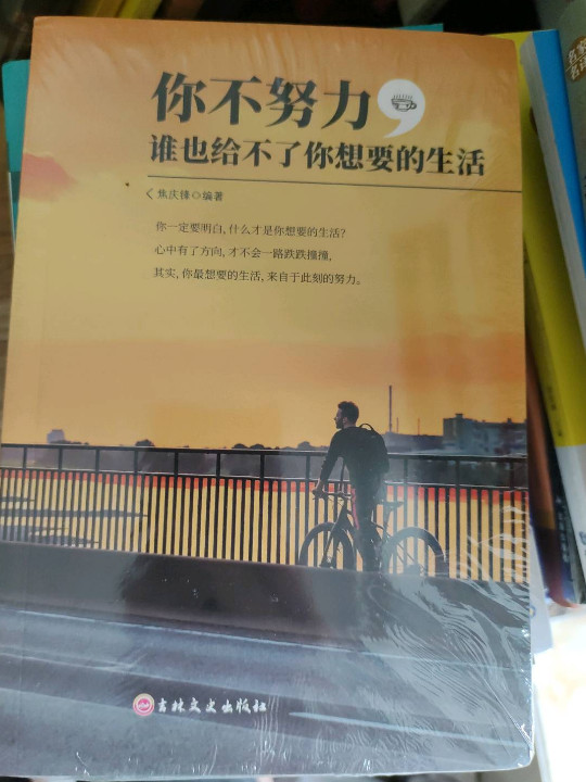 你不努力，谁也给不了你想要的生活