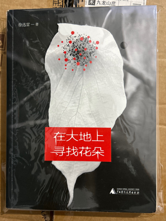 在大地上寻找花朵