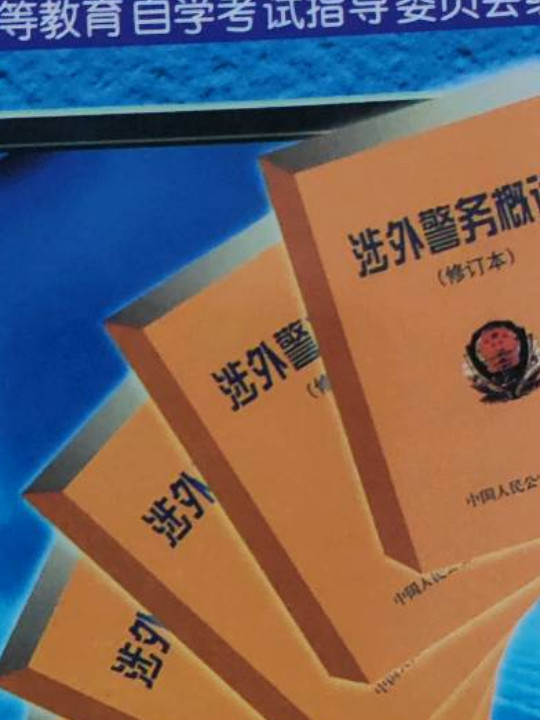 涉外警务概论