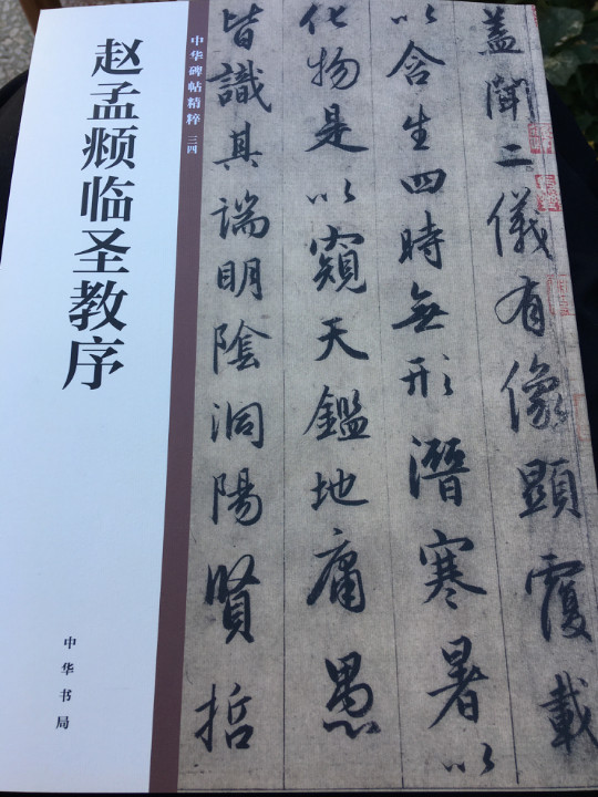 赵孟頫临圣教序