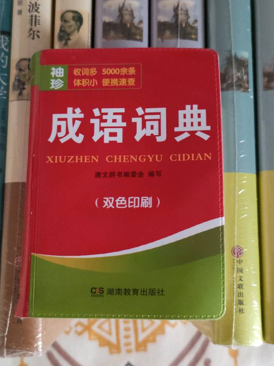 袖珍成语词典