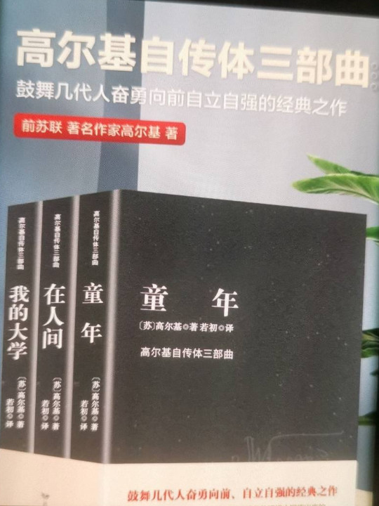 小学生阳光成长名著 童年 在人间 我的大学 彩图版