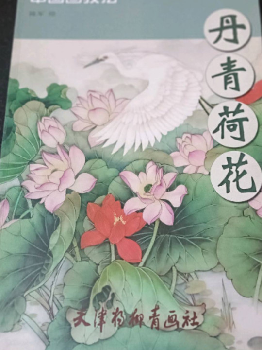 中国画技法：丹青荷花