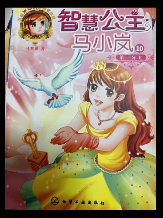 智慧公主马小岚：第一公主