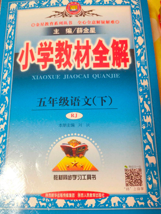 小学教材全解 五年级语文下 人教版 2017春