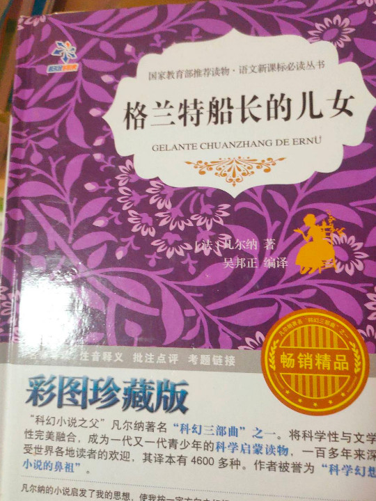 格兰特船长的儿女/语文新课标必读丛书