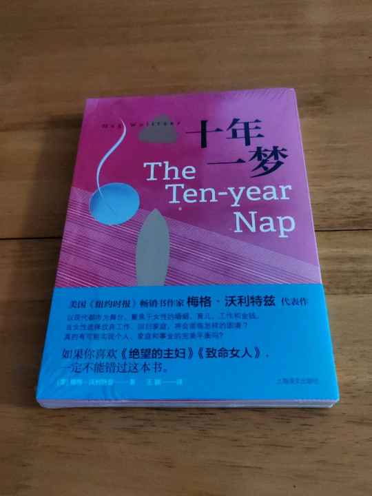 十年一梦