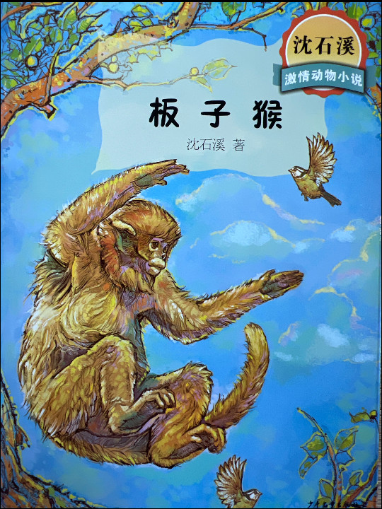 沈石溪激情动物小说 板子猴