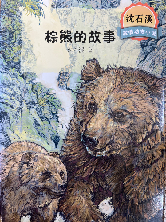 沈石溪激情动物小说 棕熊的故事