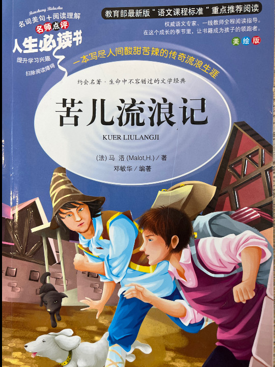苦儿流浪记 教育部新课标推荐书目-人生必读书 名师点评 美绘插图版