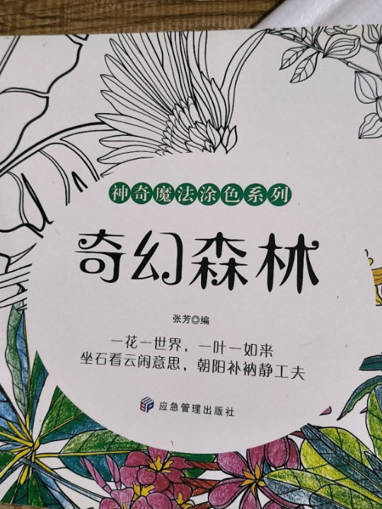 秘密花园涂色书6本正版填色书成人解压儿童版涂色书成人减压画册绘画减压画册本手绘涂色书套装儿童涂画绘本