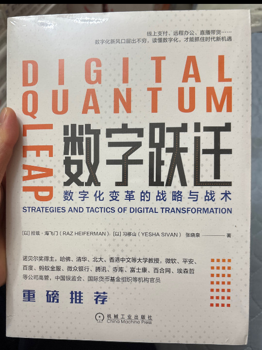 数字跃迁：数字化变革的战略与战术
