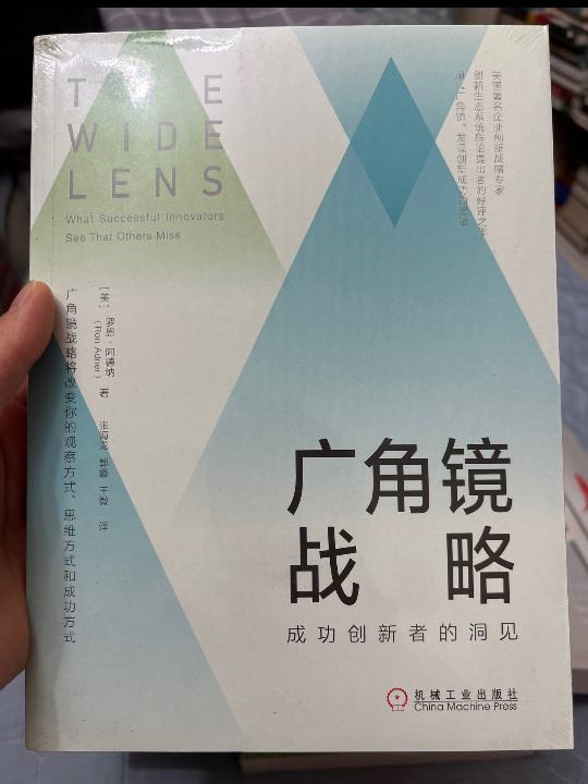 广角镜战略：成功创新者的洞见