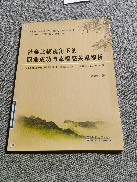社会比较视角下的职业成功与幸福感关系探析