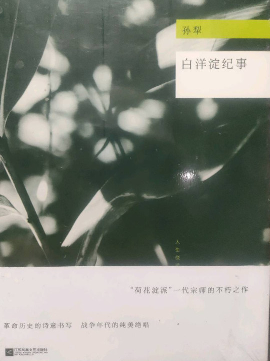 白洋淀纪事