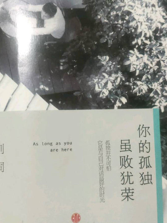 你的孤独，虽败犹荣