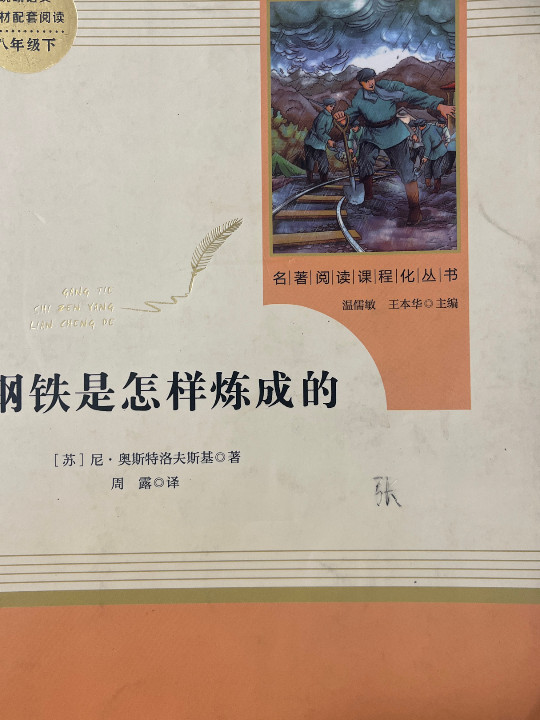 钢铁是怎样炼成的