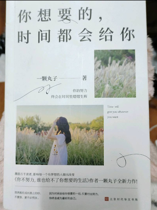 你想要的，时间都会给你：你的努力终会在时间里熠熠生辉 致奔跑在成长路上的你
