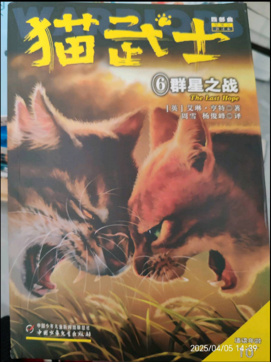 猫武士6：群星之战