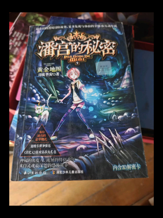 潘宫的秘密5·黄金地图