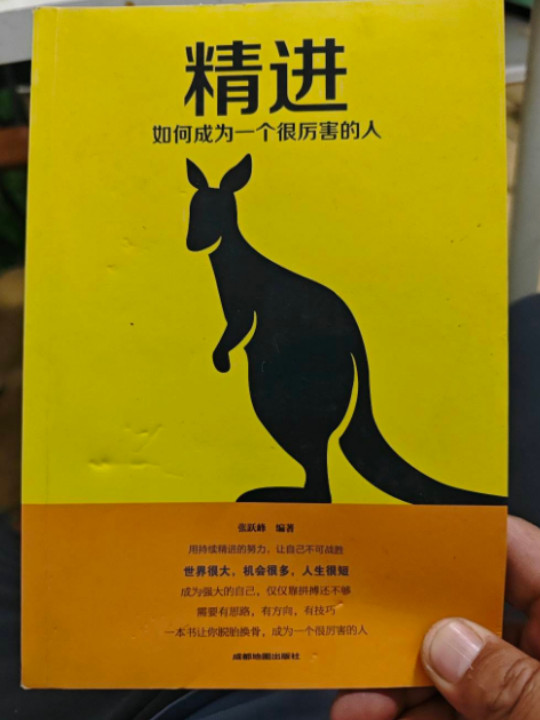 精进 : 如何成为一个很厉害的人