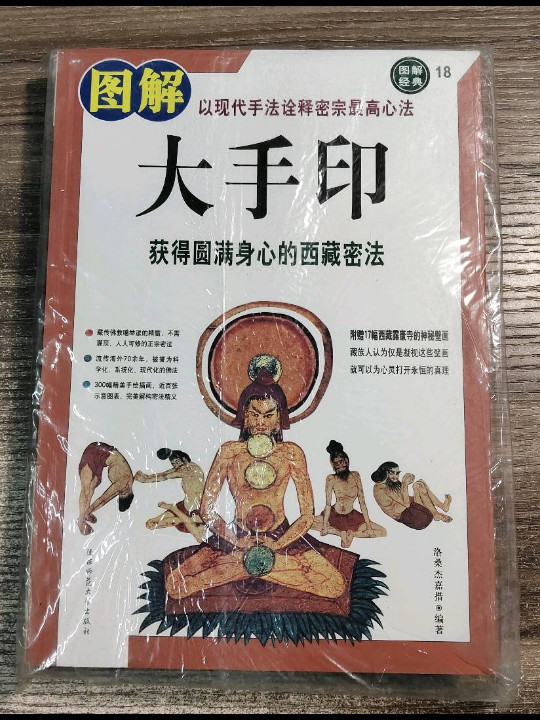 图解大手印