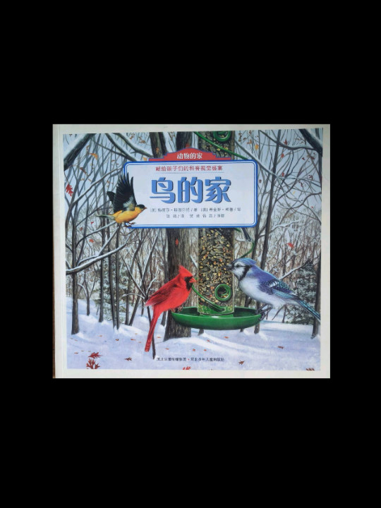动物的家-鸟的家-献给孩子们的科普视觉盛宴