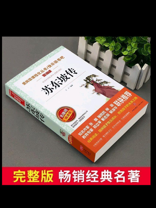 苏东坡传