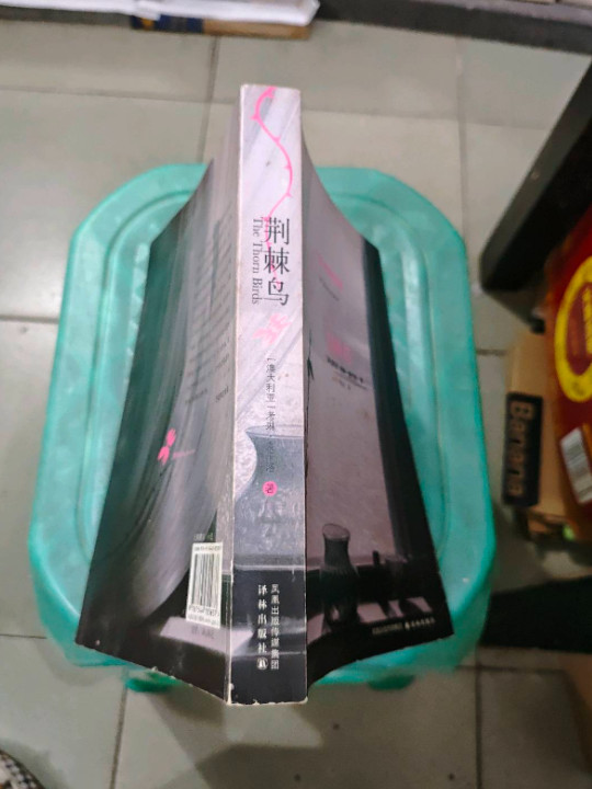 荆棘鸟