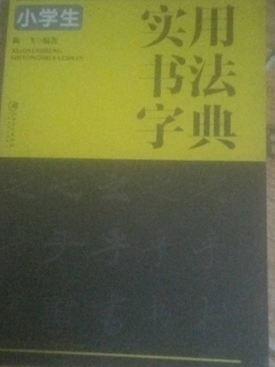 小学生实用书法字典