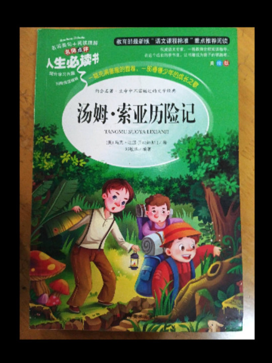 汤姆·索亚历险记 美绘插图版 教育部“语文课程标准”推荐阅读 名词美句 名师点评 中小学生必读书系