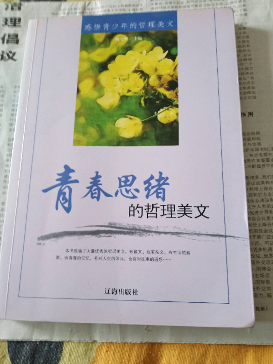 感悟青少年的哲理美文