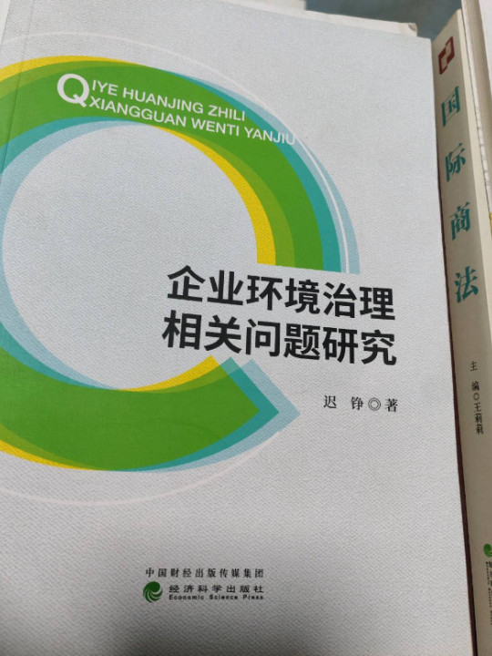 企业环境治理相关问题研究