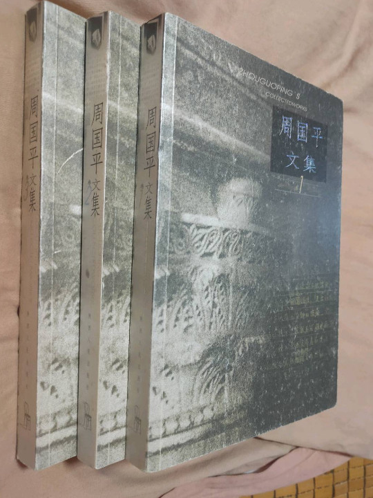 周国平文集