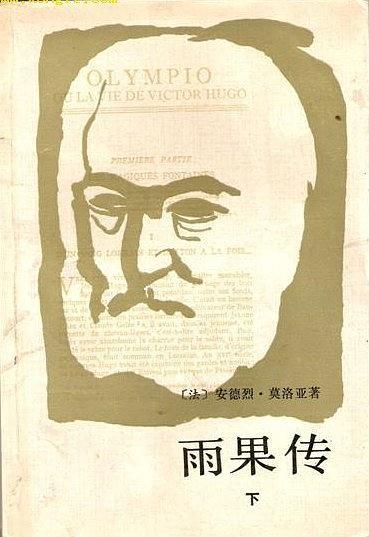 雨果传