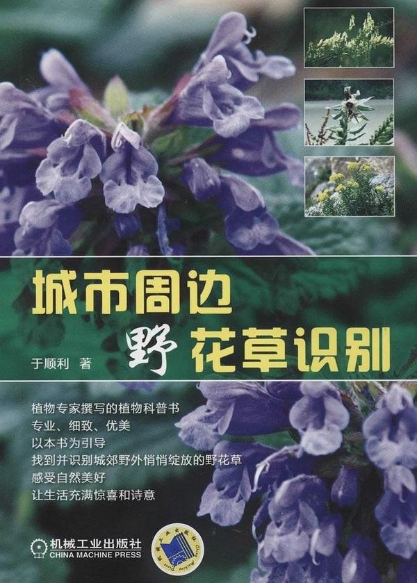 城市周边野花草识别