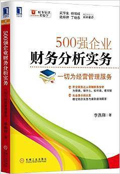 500强企业财务分析实务