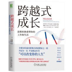 跨越式成长：思维转换重塑你的工作和生活