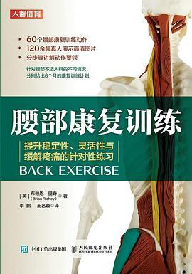 腰部康复训练 提升稳定性灵活性与缓解疼痛的针对性练习